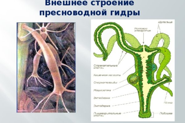 Ссылка на сайт гидра в тор браузере