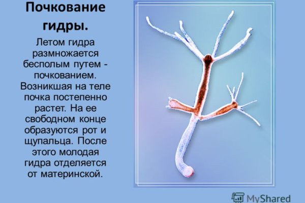 Кракен почему пользователь не найден