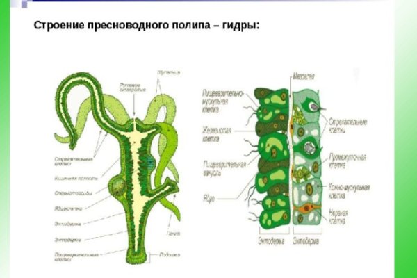 Kraken что это за магазин