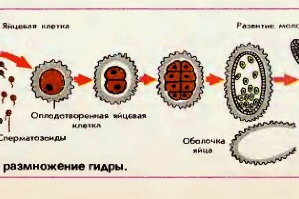 Маркетплейс кракен в россии