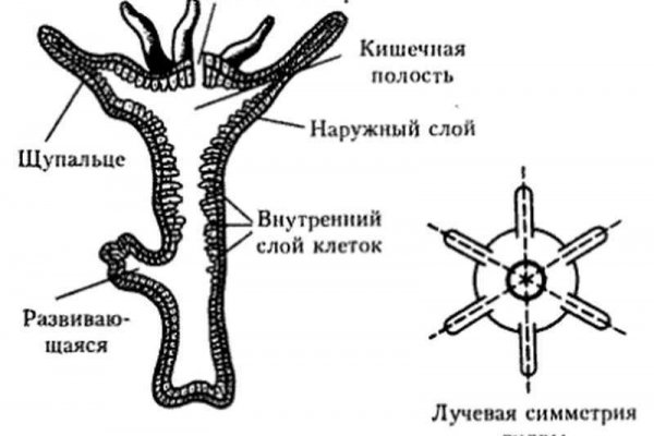 Кракен сайт купить наркотики